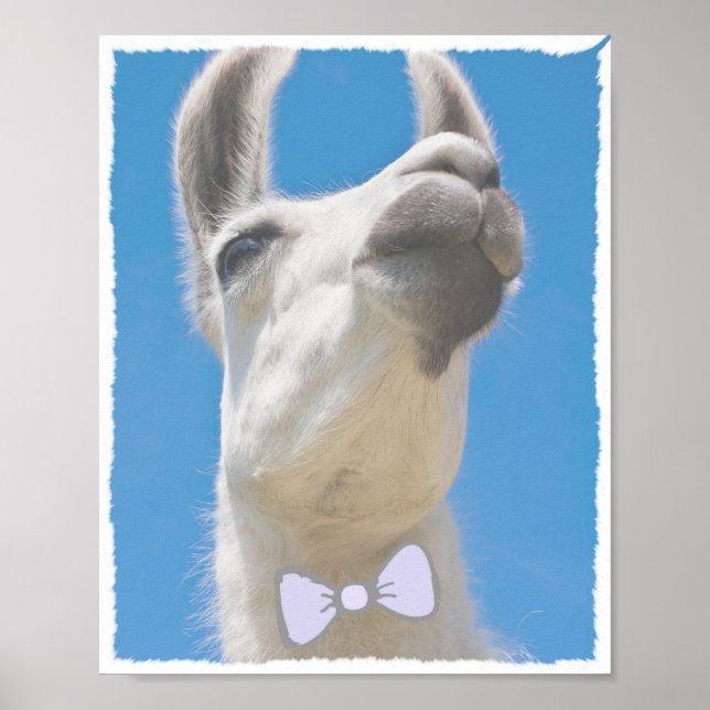 Party Llama med Bow Tie Poster (Framsidan)