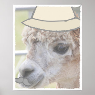 Party Llama med mustasch Poster