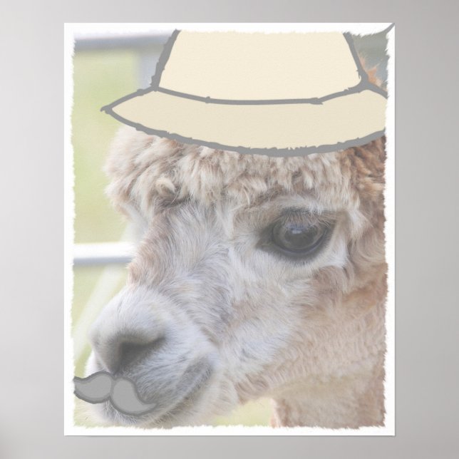 Party Llama med mustasch Poster (Framsidan)