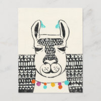 Party Llama - Porträtt