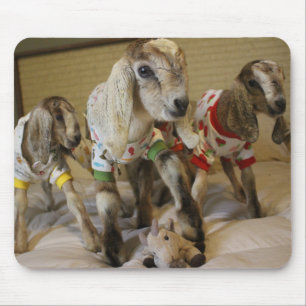 Party Mousepad för babygetPJ Musmatta