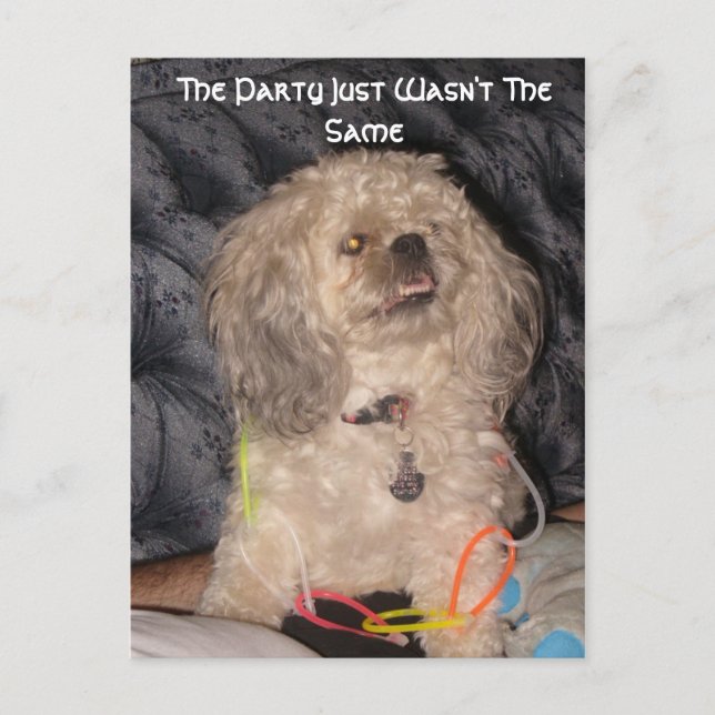 party, Party var inte samma Vykort (Framsida)