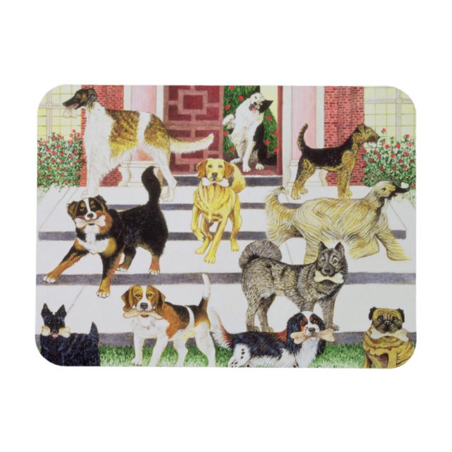 Party Presenter Magnet (Horisontell)