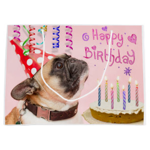 Party Pug and Birthday Cake