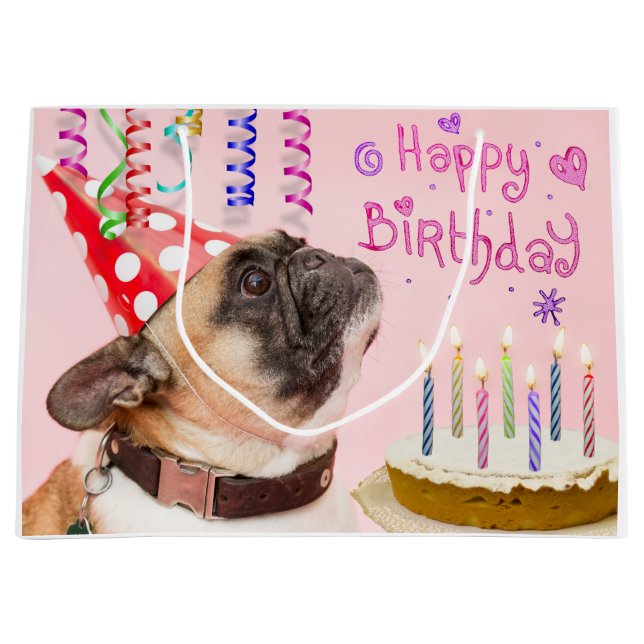 Party Pug and Birthday Cake (Framsidan)