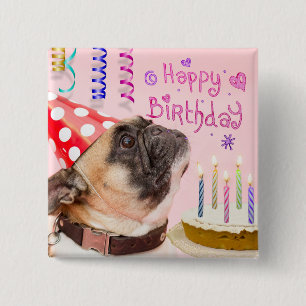 Party Pug and Birthday Cake Cute Cute Knapp