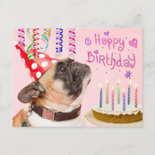 Party Pug and Birthday Cake Inbjudan Vykort