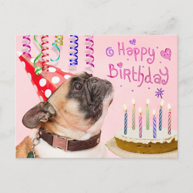 Party Pug and Birthday Cake Inbjudan Vykort (Framsida)