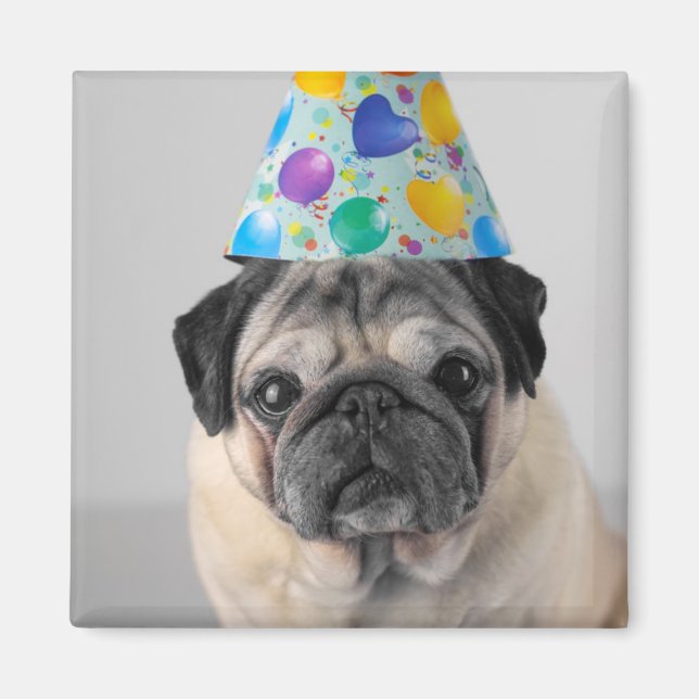 Party Pug Magnet (Framsidan)