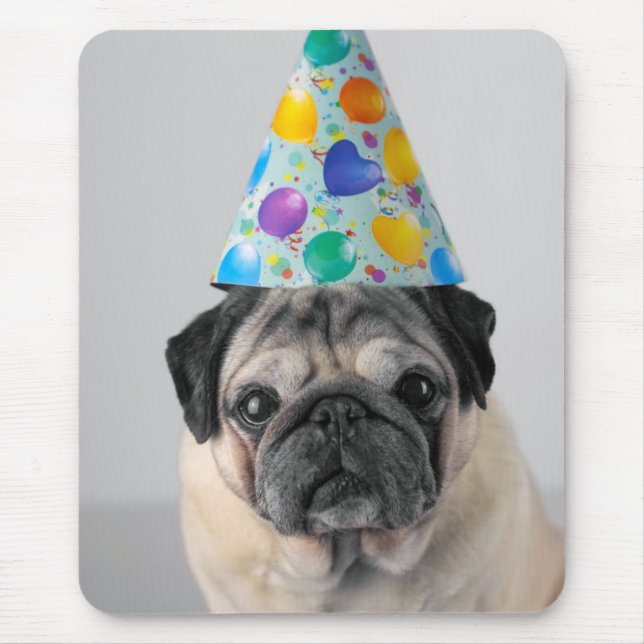 Party Pug Musmatta (Framsidan)