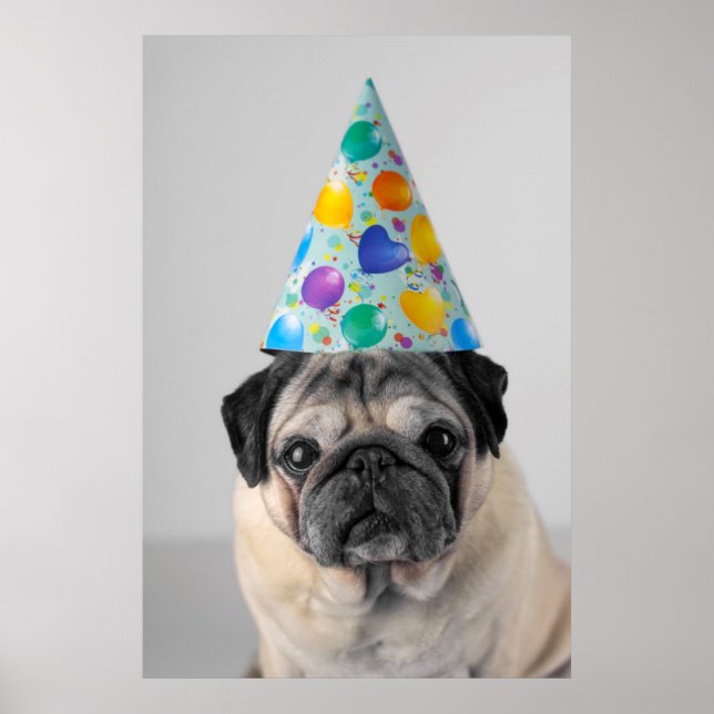 Party Pug Poster (Framsidan)