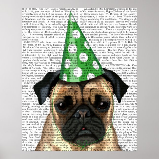 Party Pug Poster (Framsidan)