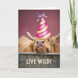 Party Steer Live Vild Birthday Kort
