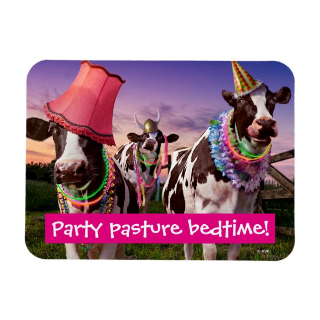 Party 'Til in kadens Kom hem Magnet (Horisontell)