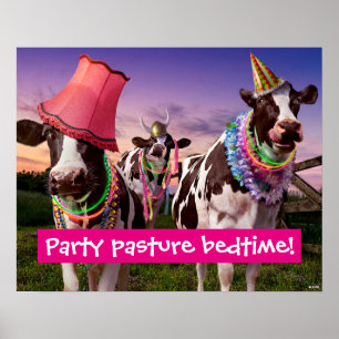 Party "Til the Cows Kom Home Poster