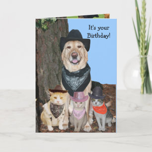 Party "Till kornas kom hem!" Kort