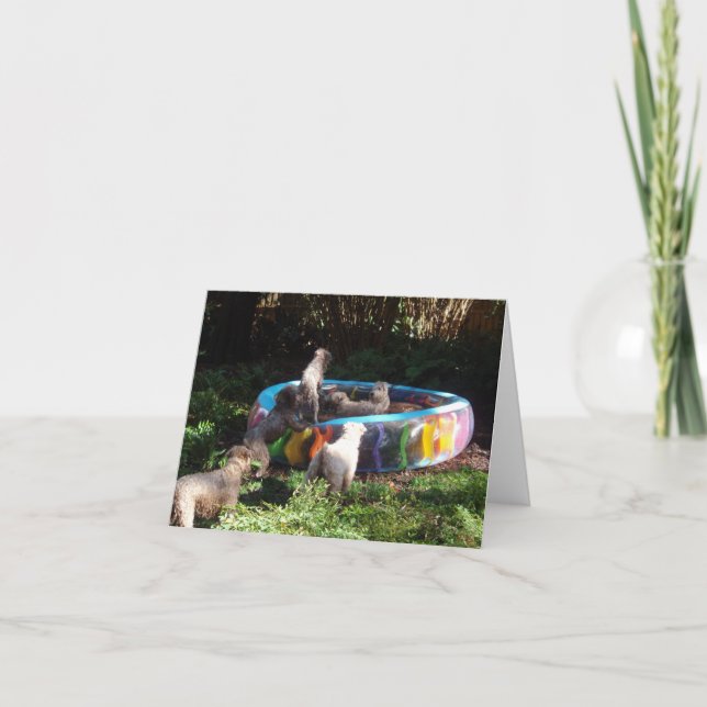 Party Time! Kort (Framsida)