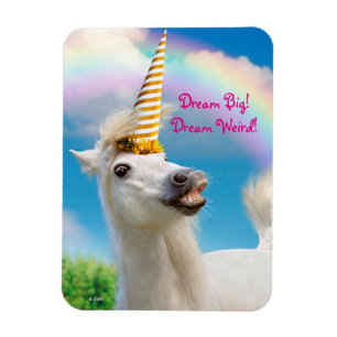 Party Unicorns häst och regnbåge Magnet