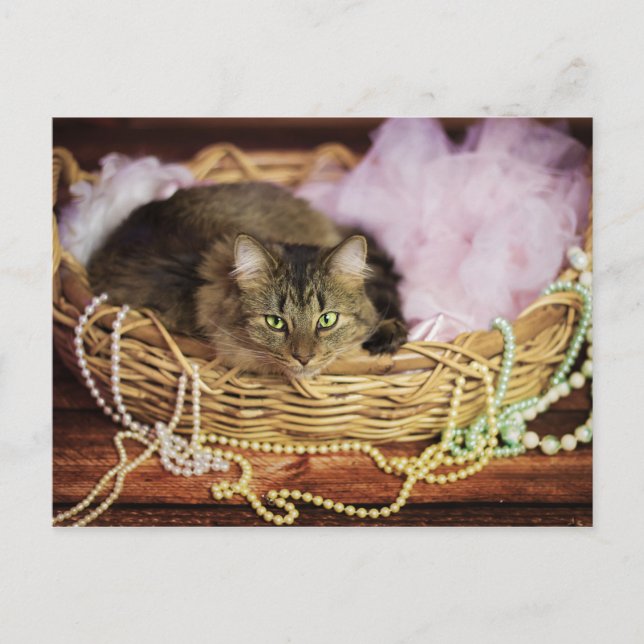 party-vykort inbjudan vykort (Framsida)