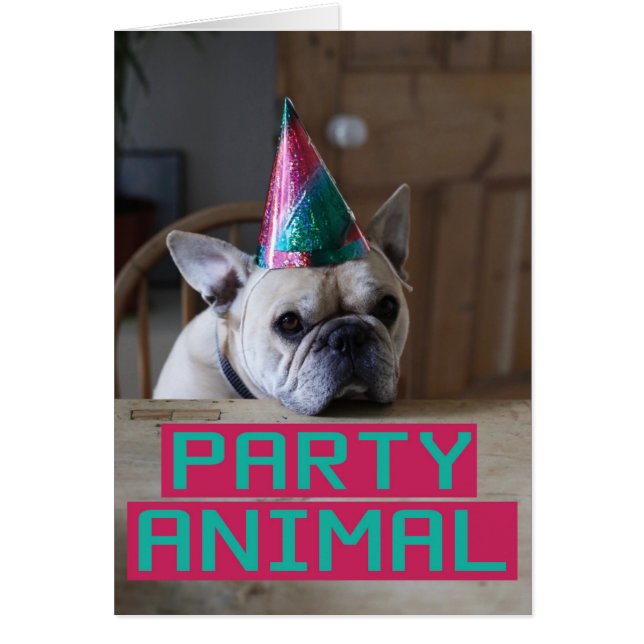 Partydjur! Hälsningskort (Framsidan)