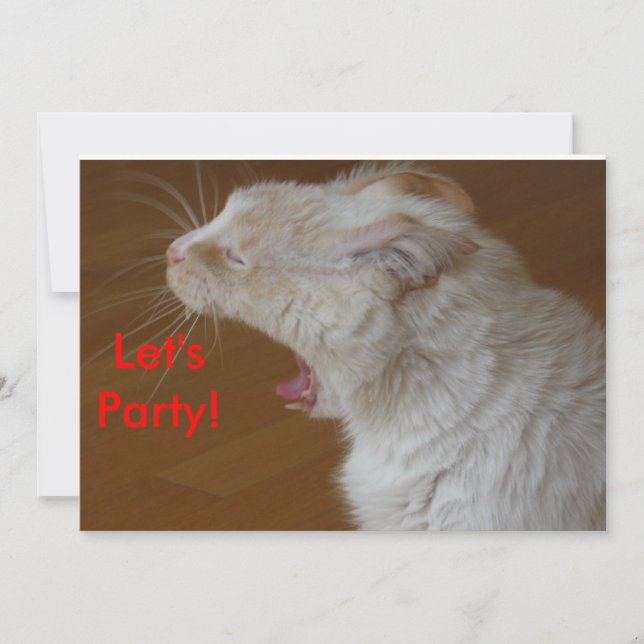 Partyinbjudan Inbjudningar (Framsida)