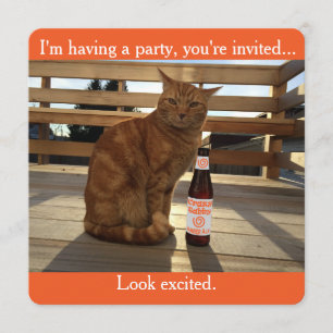 Partyinbjudan som presenterar en orange katt inbjudningar