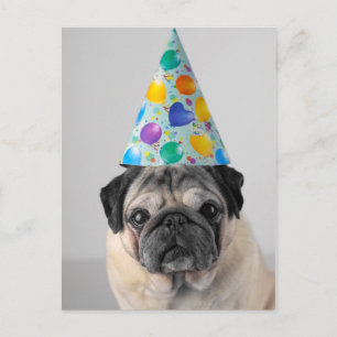 Partypuggen Vykort