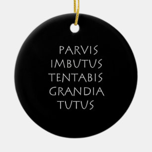 Parvis imbutus tentabis grandia tutus julgransprydnad keramik