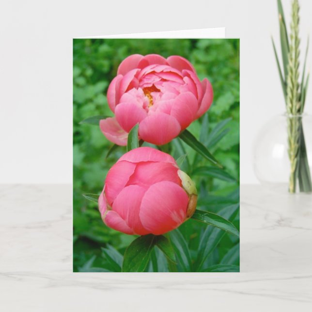 Pas de Deux Kort (Framsida)