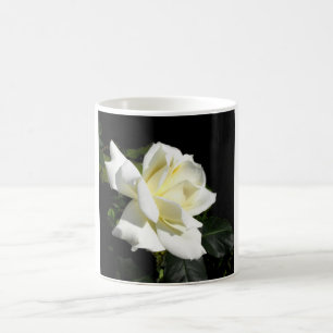 Pascali white hybrid tea ro kaffemugg