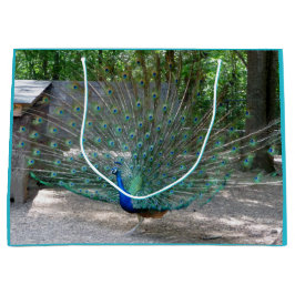 Påse om peacock-gåva