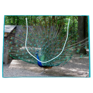 Påse om peacock-gåva