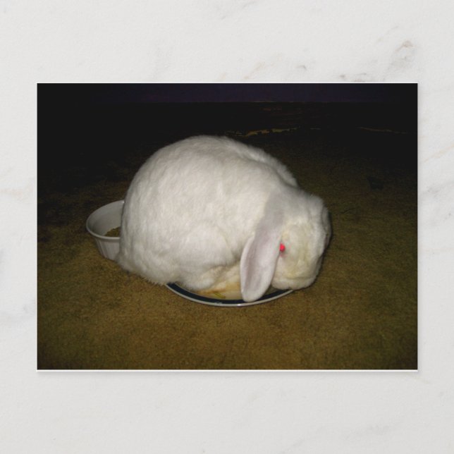 påse på skylt vykort (Framsida)