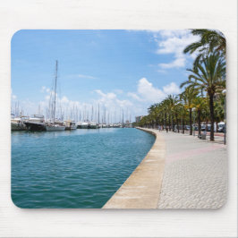 Paseo maritimo - Palma de Mallorca, Spanien Musmatta