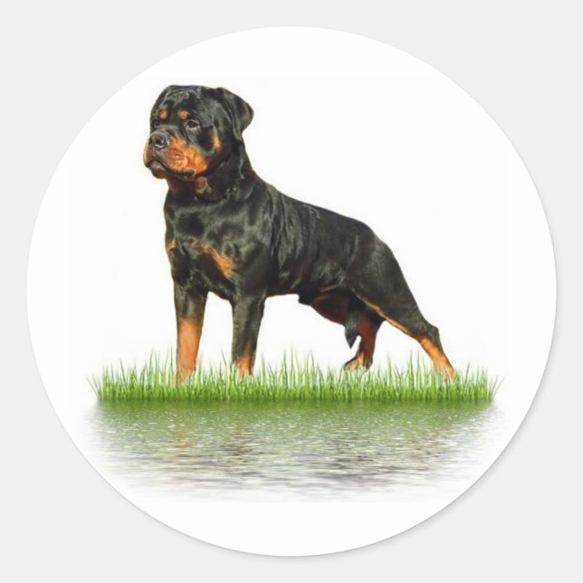 Pasha Earl Antonius Runt Klistermärke (Framsida)