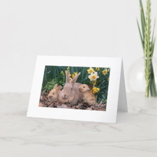 PÅSK ÄR HÄR/VÅR ÄR NÄRA SAYS BUNNY FAMILY HELGKORT