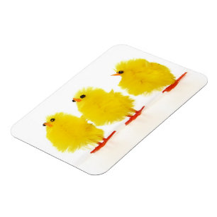 Påsk baby chickar Flexibel magnet