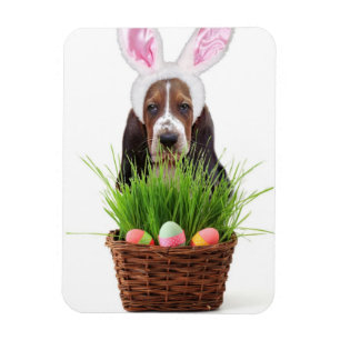 Påsk Basset Hound hund Magnet