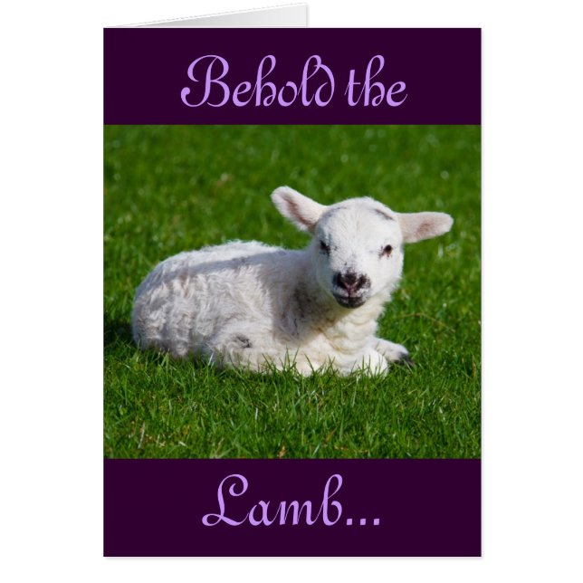 Påsk Behåll Helgdag Lamb-kortet Hälsningskort (Framsidan)