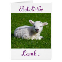 Påsk Behåll Helgdag Lamb-kortet