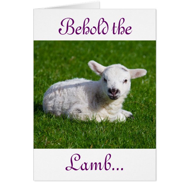 Påsk Behåll Helgdag Lamb-kortet Hälsningskort (Framsidan)