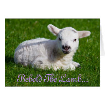 Påsk Behåll Helgdag Lamb-kortet