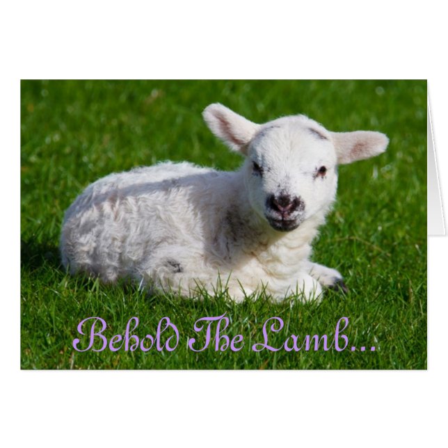 Påsk Behåll Helgdag Lamb-kortet Hälsningskort (Framsidan Horizontal)