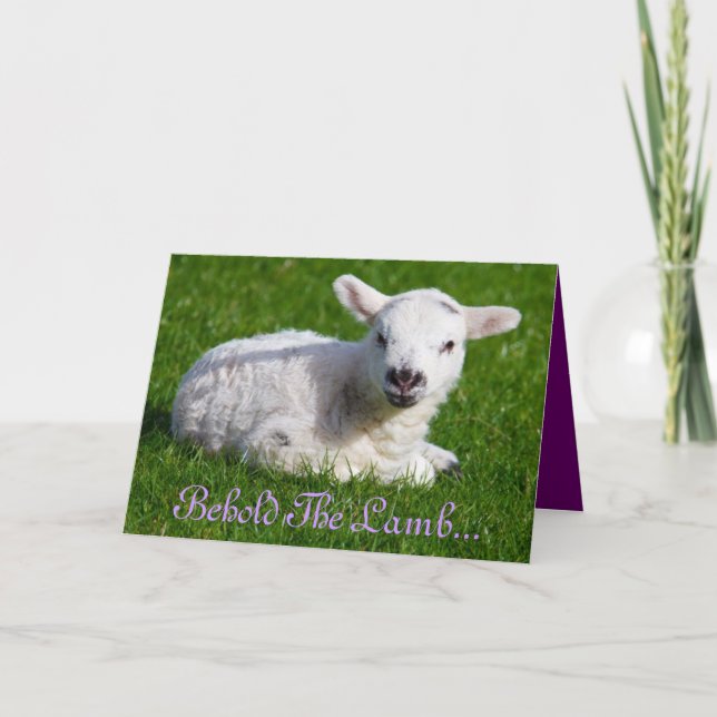 Påsk Behåll Helgdag Lamb-kortet Helgkort (Framsida)