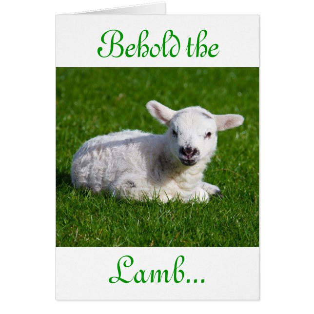 Påsk Behåll lamm III-Helgdag Hälsningskort (Framsidan)