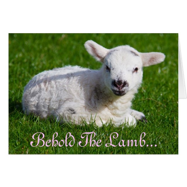 Påsk Behold Lamb I Hälsningskort (Framsidan Horizontal)