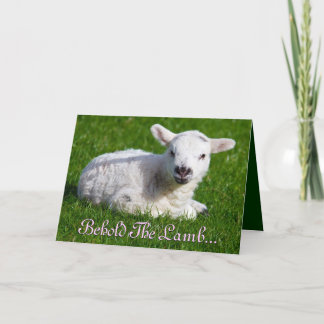 Påsk Behold Lamb I Helgkort