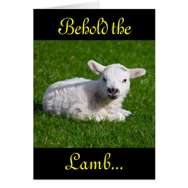 Påsk Behold Lamb II Hälsningskort (Framsidan)