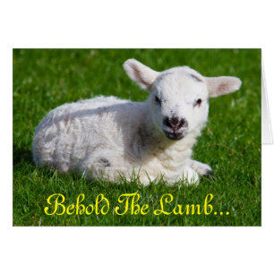 Påsk Behold Lamb II Hälsningskort