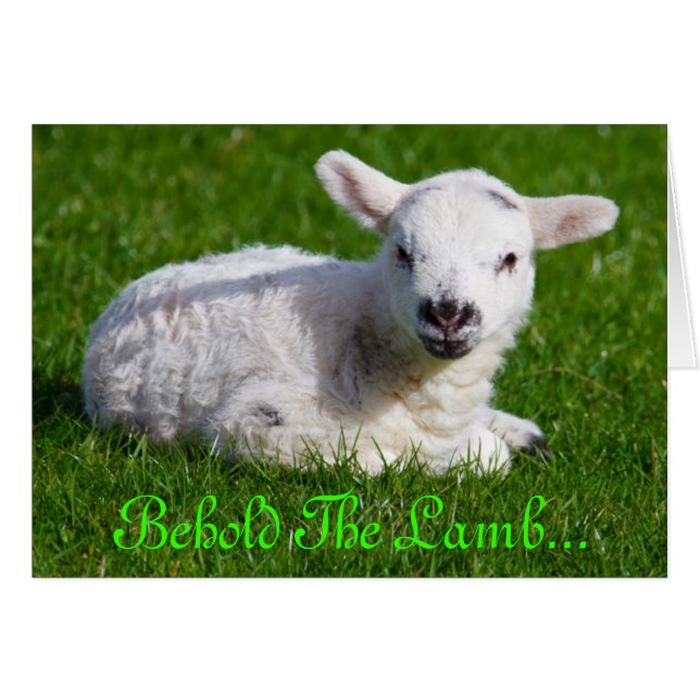 Påsk Behold Lamb III Hälsningskort (Framsidan Horizontal)